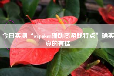 今日实测“wepoker辅助器游戏特点”确实真的有挂