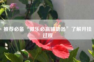 推荐必备“微乐必赢辅助器”了解开挂过程 推荐必备“微乐必赢辅助器”了解开挂过程