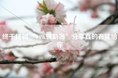 终于找到“WPK辅助器”分享真的有挂给你 终于找到“WPK辅助器”分享真的有挂给你