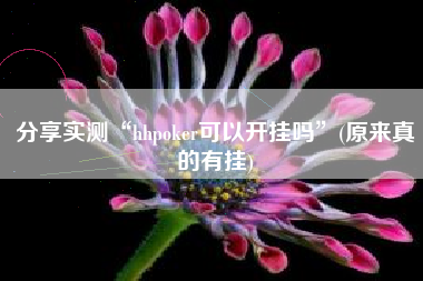 分享实测“hhpoker可以开挂吗”(原来真的有挂) 分享实测“hhpoker可以开挂吗”(原来真的有挂)