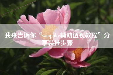 我来告诉你“waapoke辅助透视教程”分享装挂步骤