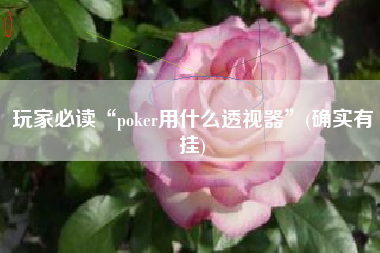 玩家必读“poker用什么透视器”(确实有挂) 玩家必读“poker用什么透视器”(确实有挂)