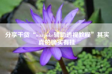 分享干货“waapoke辅助透视教程”其实真的确实有挂