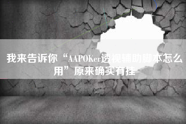 我来告诉你“AAPOKer透视辅助脚本怎么用”原来确实有挂