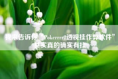 我来告诉你“Pokerrrr2透视挂作弊软件”其实真的确实有挂
