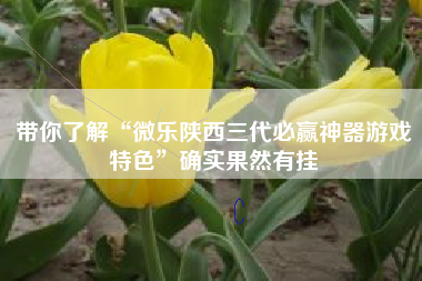 带你了解“微乐陕西三代必赢神器游戏特色”确实果然有挂 带你了解“微乐陕西三代必赢神器游戏特色”确实果然有挂