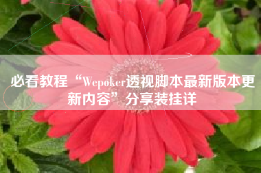 必看教程“Wepoker透视脚本最新版本更新内容”分享装挂详