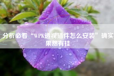 分析必看“WPK透视插件怎么安装”确实果然有挂