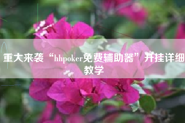 重大来袭“hhpoker免费辅助器”开挂详细教学