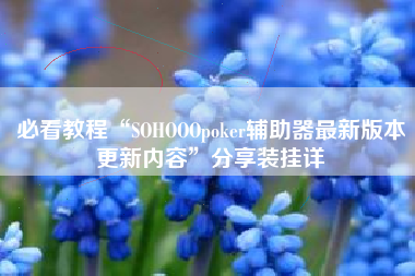 必看教程“SOHOOOpoker辅助器最新版本更新内容”分享装挂详