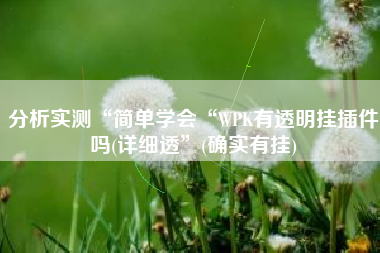 分析实测“简单学会“WPK有透明挂插件吗(详细透”(确实有挂)