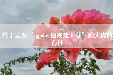 终于呈现“agpoker透视挂下载”确实真的有挂