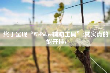 终于呈现“WePoker辅助工具”(其实真的能开挂)