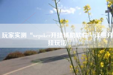 玩家实测“wepoker开挂辅助软件”详细开挂玩法