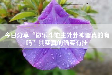 今日分享“微乐斗地主外卦神器真的有吗”其实真的确实有挂 今日分享“微乐斗地主外卦神器真的有吗”其实真的确实有挂