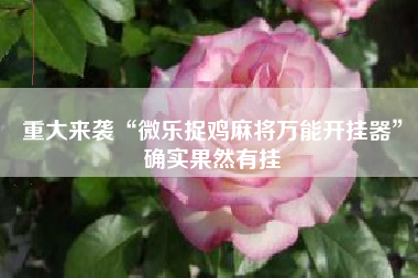 重大来袭“微乐捉鸡麻将万能开挂器”确实果然有挂 重大来袭“微乐捉鸡麻将万能开挂器”确实果然有挂