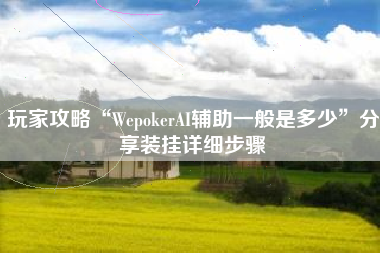 玩家攻略“WepokerAI辅助一般是多少”分享装挂详细步骤
