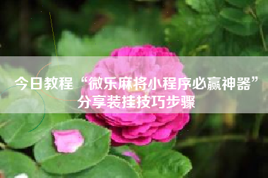 今日教程“微乐麻将小程序必赢神器”分享装挂技巧步骤 今日教程“微乐麻将小程序必赢神器”分享装挂技巧步骤