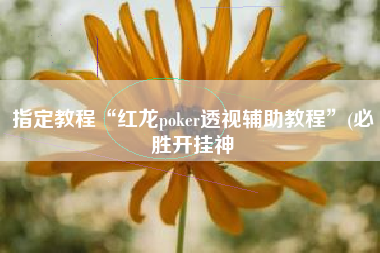 指定教程“红龙poker透视辅助教程”(必胜开挂神 指定教程“红龙poker透视辅助教程”(必胜开挂神