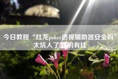 今日教程“红龙poker透视辅助器安全吗”太坑人了,真的有挂