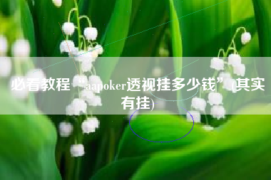 必看教程“aapoker透视挂多少钱”(其实有挂) 必看教程“aapoker透视挂多少钱”(其实有挂)