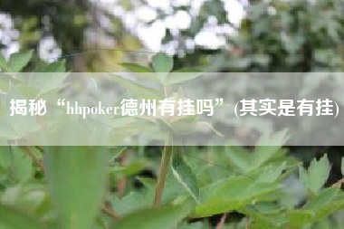 揭秘“hhpoker德州有挂吗”(其实是有挂) 揭秘“hhpoker德州有挂吗”(其实是有挂)