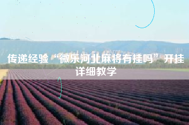 传递经验“微乐河北麻将有挂吗”开挂详细教学