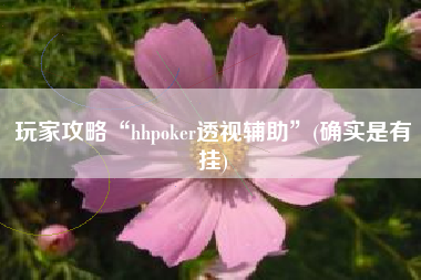 玩家攻略“hhpoker透视辅助”(确实是有挂)