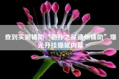 查到实测辅助“德扑之星德州辅助”爆光开挂猫腻内幕