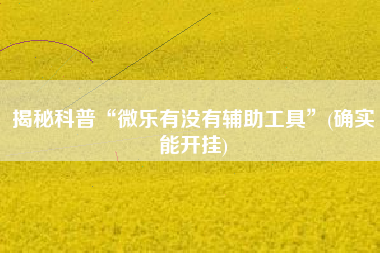 揭秘科普“微乐有没有辅助工具”(确实能开挂) 揭秘科普“微乐有没有辅助工具”(确实能开挂)