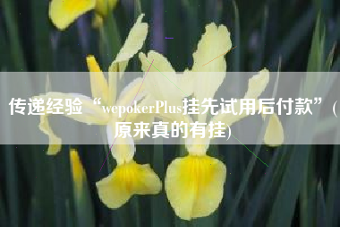 传递经验“wepokerPlus挂先试用后付款”(原来真的有挂) 传递经验“wepokerPlus挂先试用后付款”(原来真的有挂)