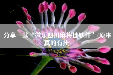 分享一款“微乐四川麻将挂软件”(原来真的有挂)