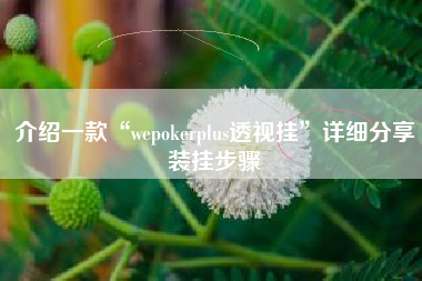介绍一款“wepokerplus透视挂”详细分享装挂步骤