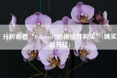 分析必看“Pokerrrr2透视插件购买”(确实能开挂)