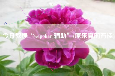 今日教程“wepoker 辅助”(原来真的有挂)