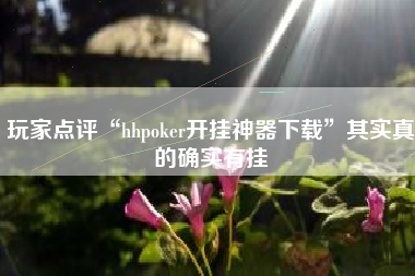 玩家点评“hhpoker开挂神器下载”其实真的确实有挂