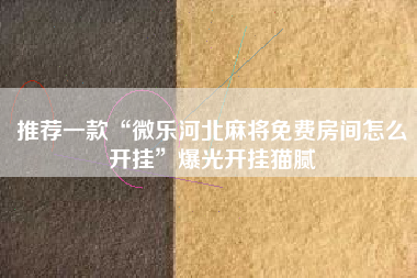 推荐一款“微乐河北麻将免费房间怎么开挂”爆光开挂猫腻