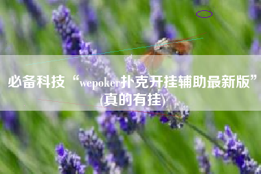 必备科技“wepoker扑克开挂辅助最新版”(真的有挂)