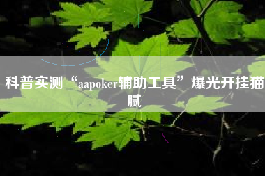 科普实测“aapoker辅助工具”爆光开挂猫腻 科普实测“aapoker辅助工具”爆光开挂猫腻