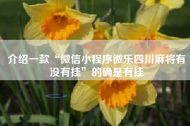 介绍一款“微信小程序微乐四川麻将有没有挂”的确是有挂 介绍一款“微信小程序微乐四川麻将有没有挂”的确是有挂