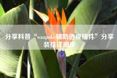 分享科普“waapoke辅助透视插件”分享装挂详细步 分享科普“waapoke辅助透视插件”分享装挂详细步