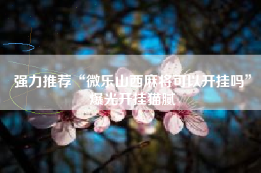 强力推荐“微乐山西麻将可以开挂吗”爆光开挂猫腻