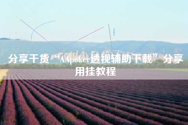 分享干货“AApoker透视辅助下载”分享用挂教程
