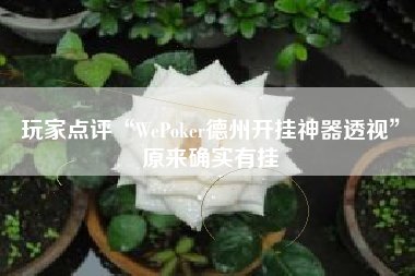 玩家点评“WePoker德州开挂神器透视”原来确实有挂