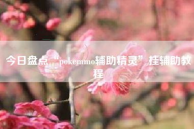 今日盘点“pokemmo辅助精灵”挂辅助教程