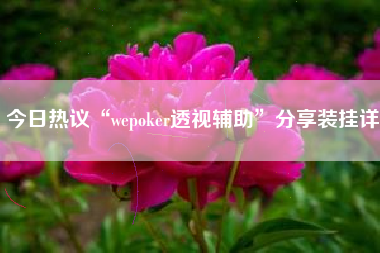 今日热议“wepoker透视辅助”分享装挂详