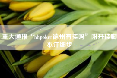 重大通报“hhpoker德州有挂吗”附开挂脚本详细步