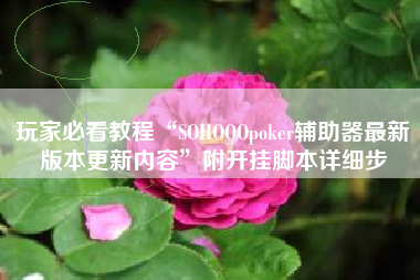 玩家必看教程“SOHOOOpoker辅助器最新版本更新内容”附开挂脚本详细步