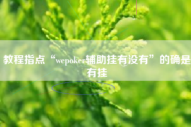 教程指点“wepoker辅助挂有没有”的确是有挂