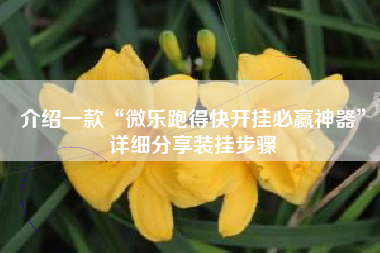 介绍一款“微乐跑得快开挂必赢神器”详细分享装挂步骤